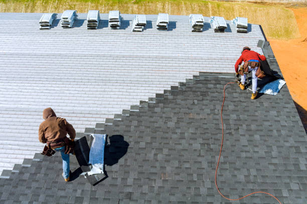 Best Roof Gutter Cleaning  in Belle, WV