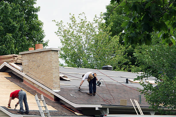 Best Flat Roof Repair Services  in Belle, WV