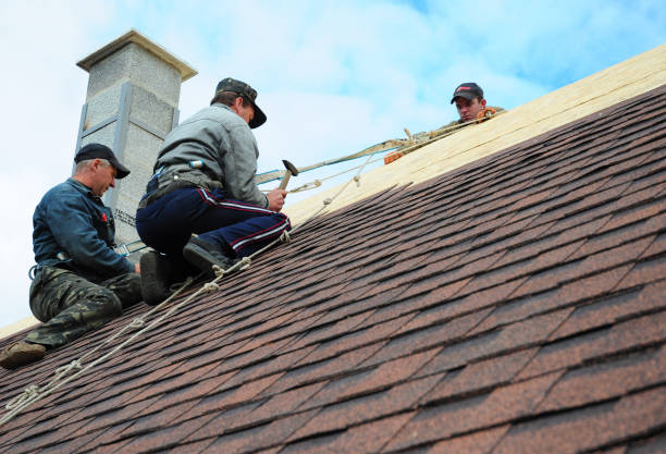 Best Roof Maintenance Services  in Belle, WV